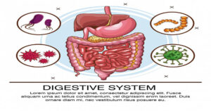 Digestive Issues