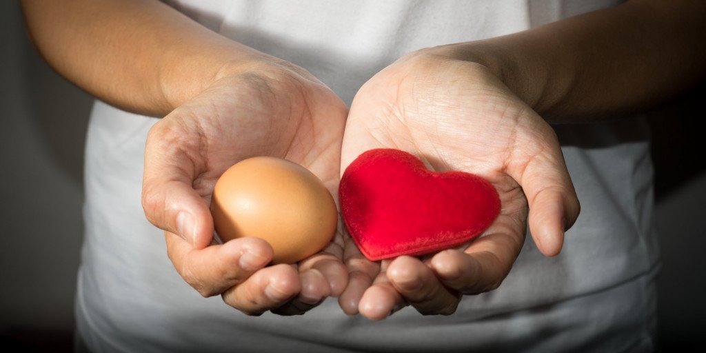 Eggs Improve Levels of “Good” Cholesterol