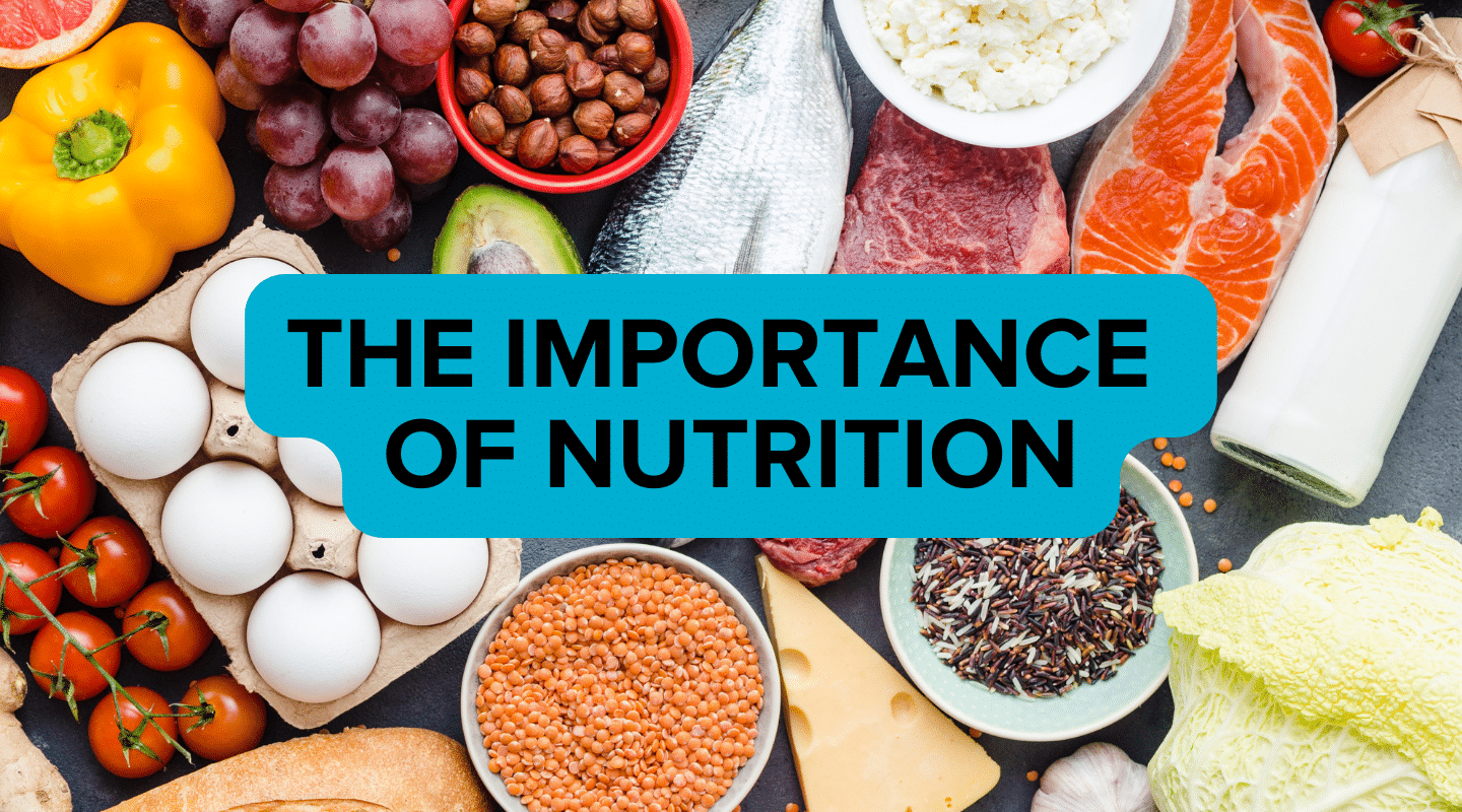 Importance Of Nutrition