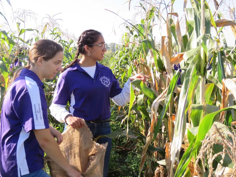 Why Agricultural Schools Are More Important Than Ever